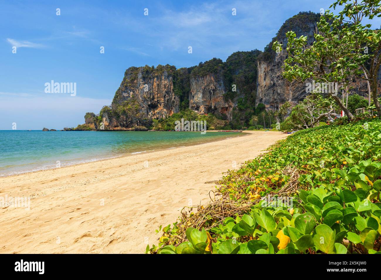 Malerischer Blick auf den leeren Tonsai Beach und die hohen Kalksteinklippen in Railay, Krabi, Thailand, an einem sonnigen Tag. Stockfoto