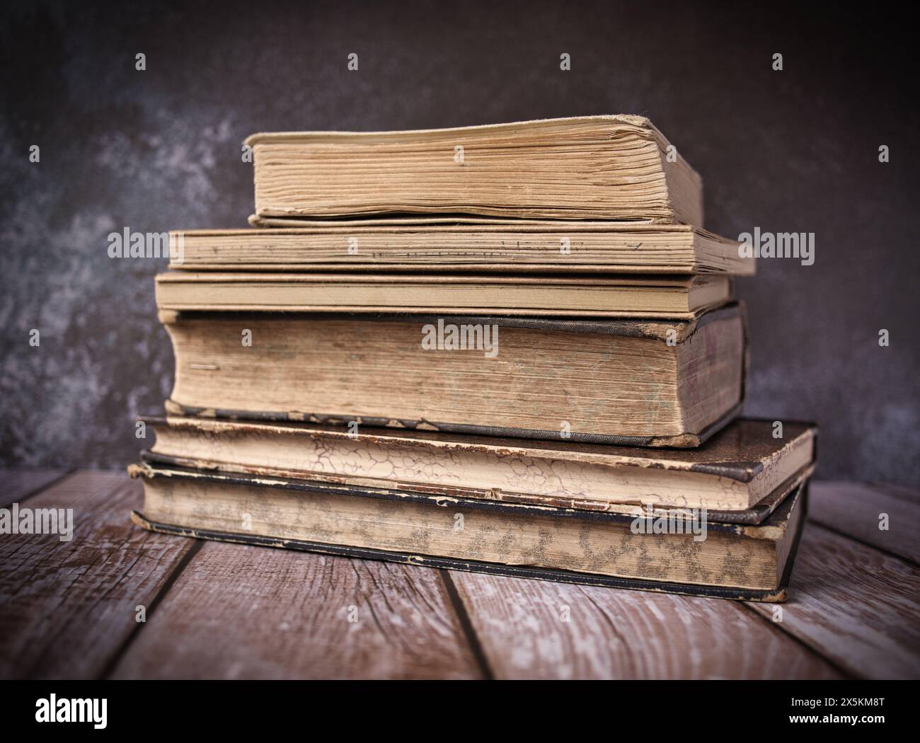 Willow Catkins Wegen Eines Alten Buches Stockfoto