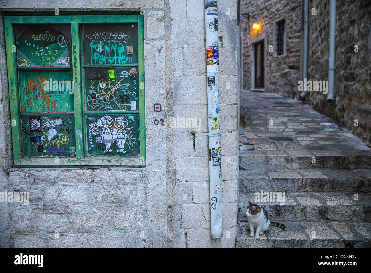 Kotor, Montenegro. Calico Cat auf alten Steintreppen und einem Graffiti-Fenster Stockfoto