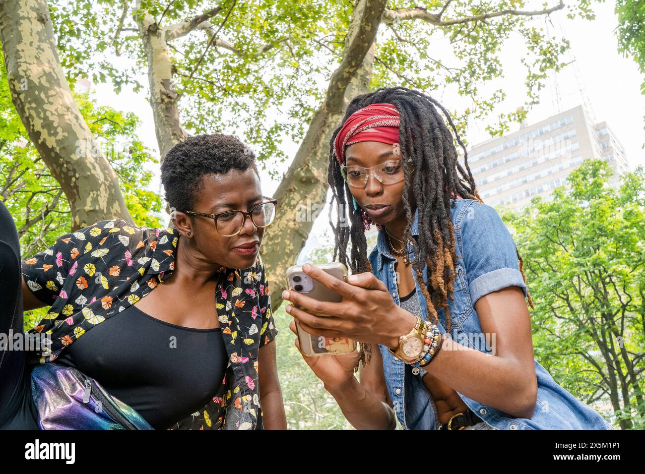 USA, zwei junge Frauen, die im Park auf das Smartphone schauen Stockfoto