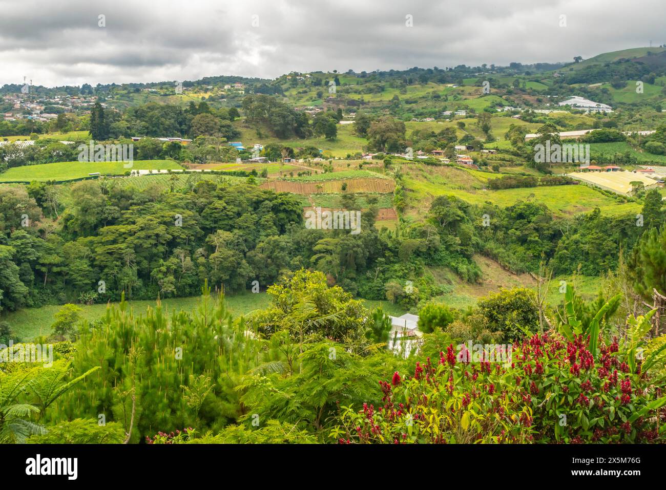 Costa Rica. Üppige Landschaft unter bewölktem Himmel. Stockfoto