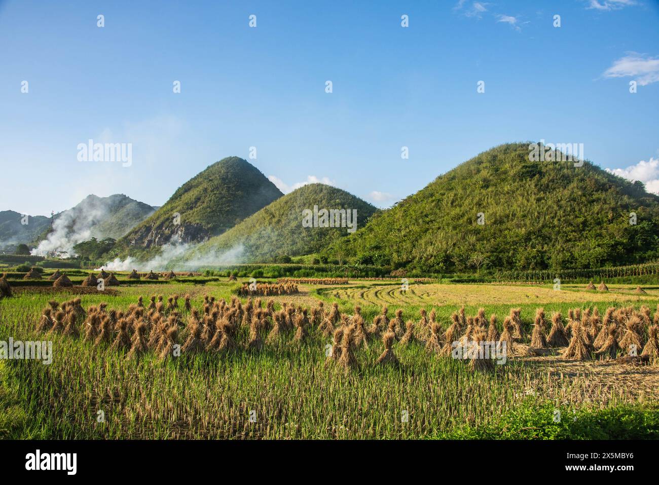 Reisfelder in Tam Son, Ha Giang, Vietnam Stockfoto