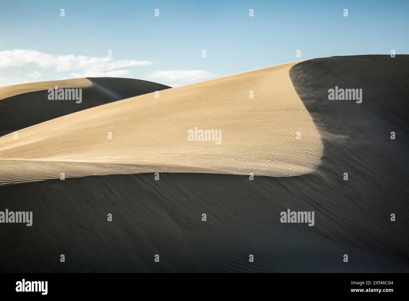 USA, Kalifornien, Central Coast, Oceano. Wehender Sand im Pismo State Beach Dune Preserve Stockfoto