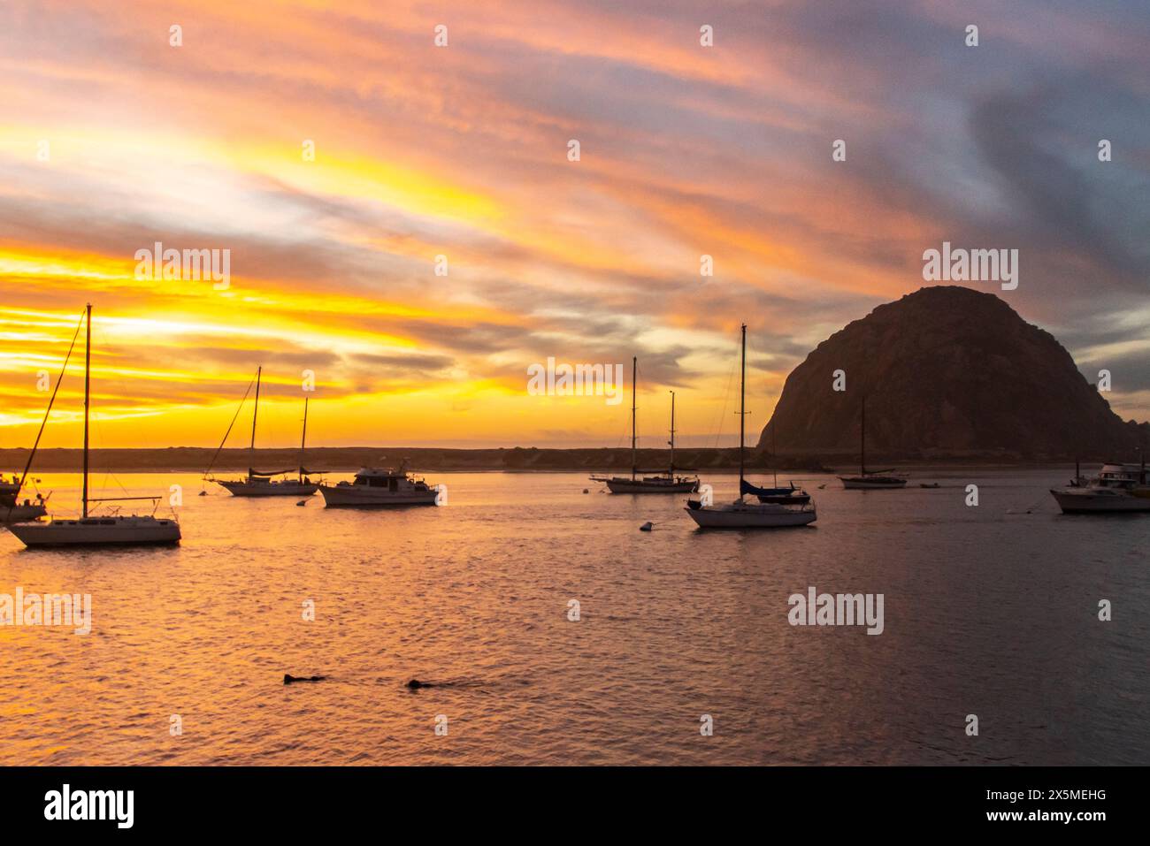 USA, Kalifornien, Morro Bay. Morro Rock und Marina bei Sonnenuntergang mit Seeottern. Stockfoto