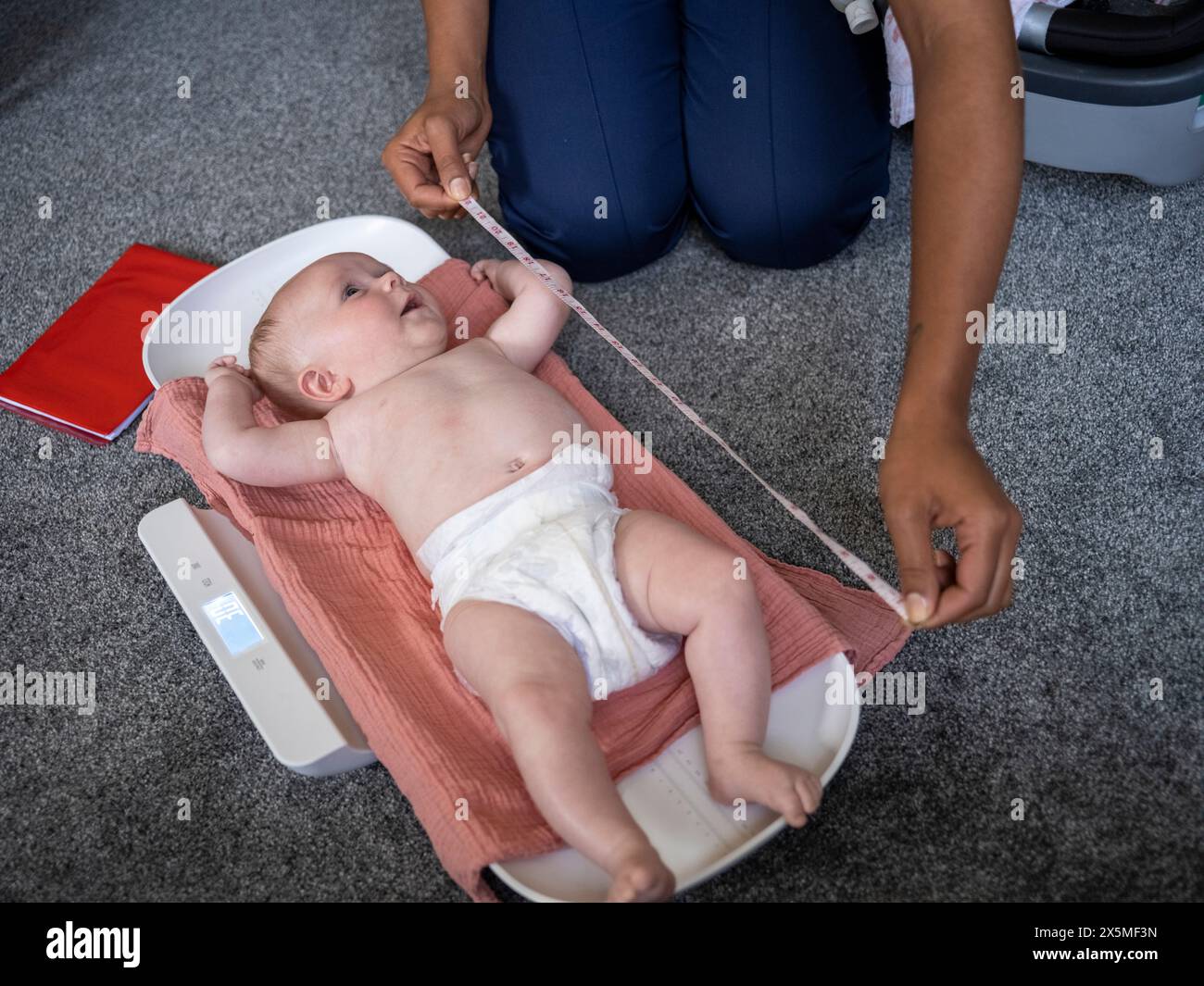 Krankenschwester, die Wachstumsmessungen bei einem Mädchen (2-5 Monate) durchführt Stockfoto