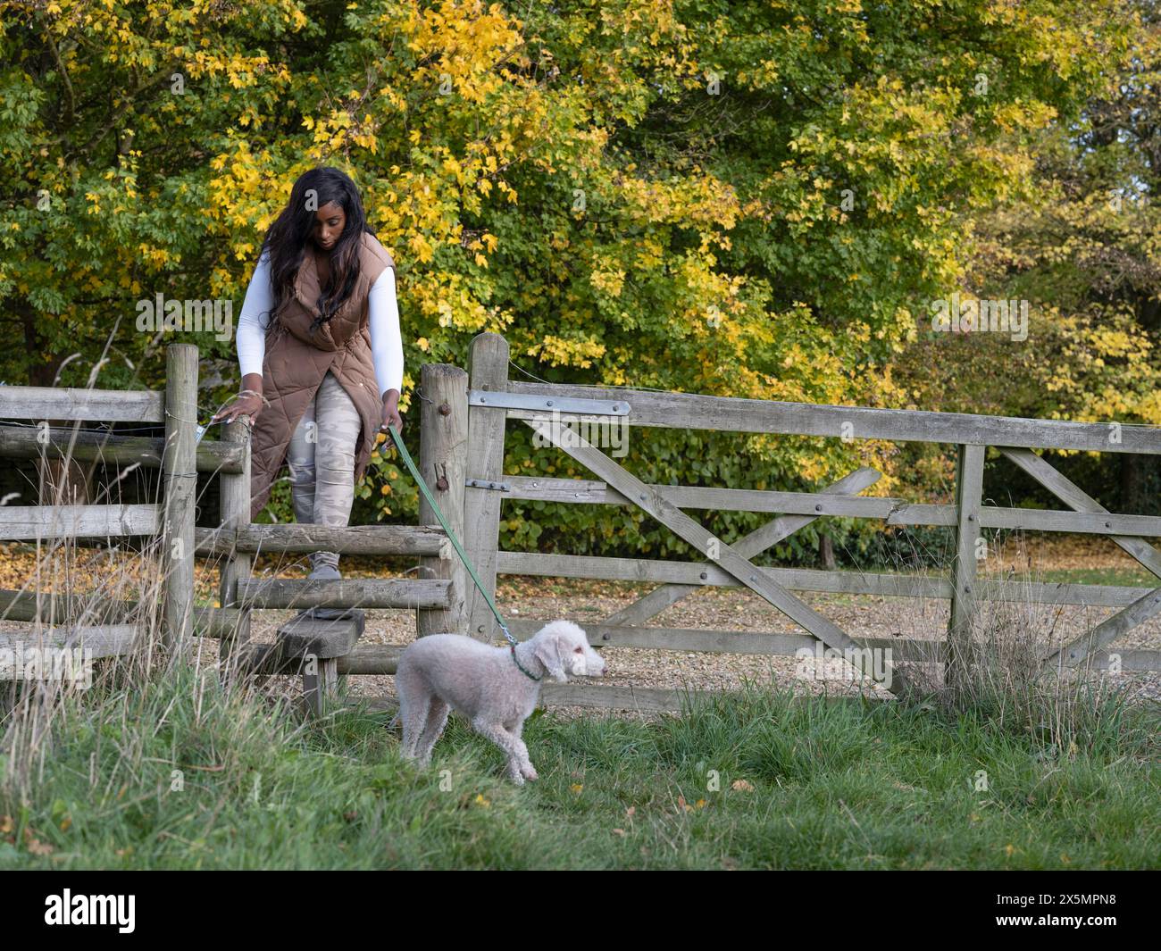 Frau, die mit Hund auf dem Land läuft Stockfoto