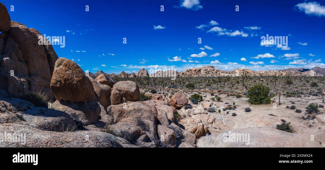 Hidden Valley, Joshua Tree National Park, Kalifornien Stockfoto