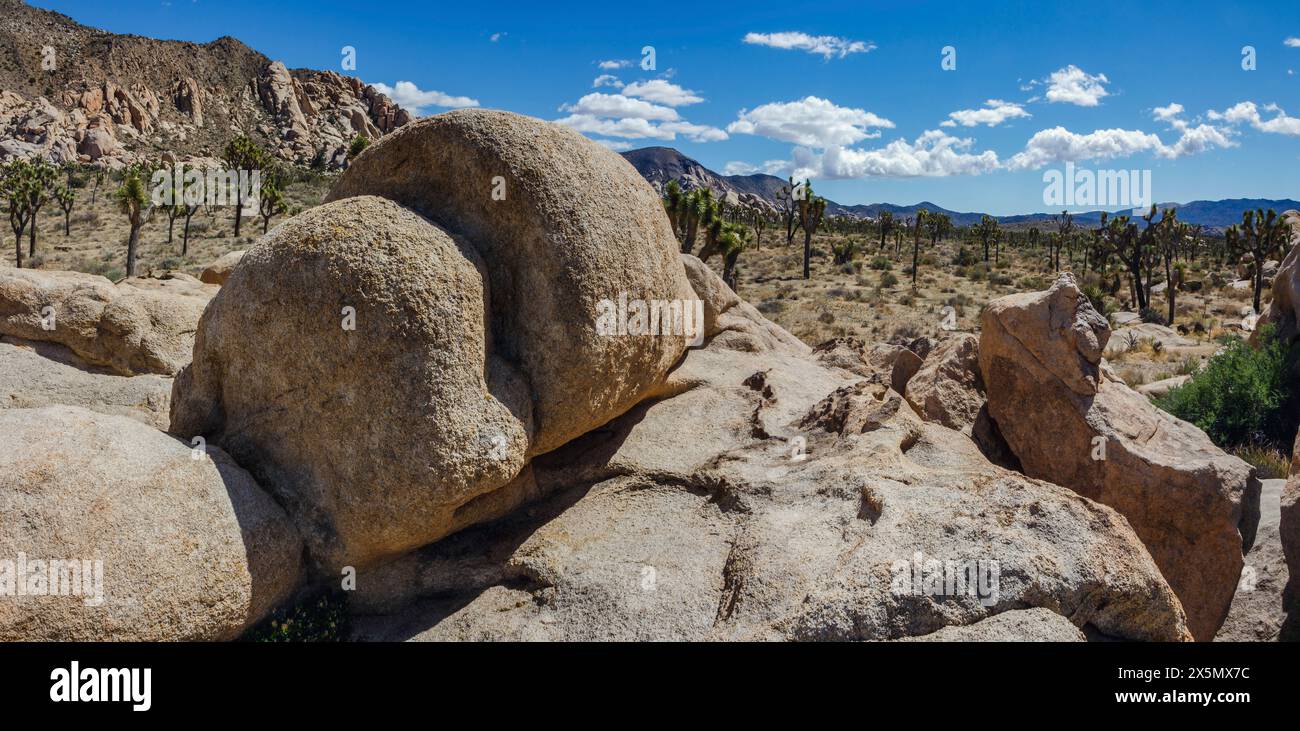Hidden Valley, Joshua Tree National Park, Kalifornien Stockfoto