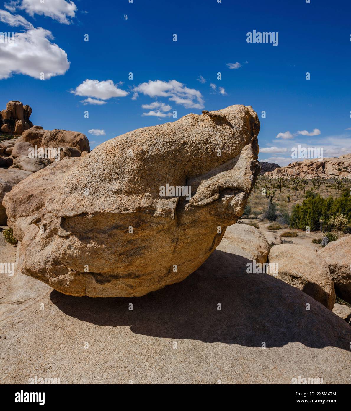 Hidden Valley, Joshua Tree National Park, Kalifornien Stockfoto