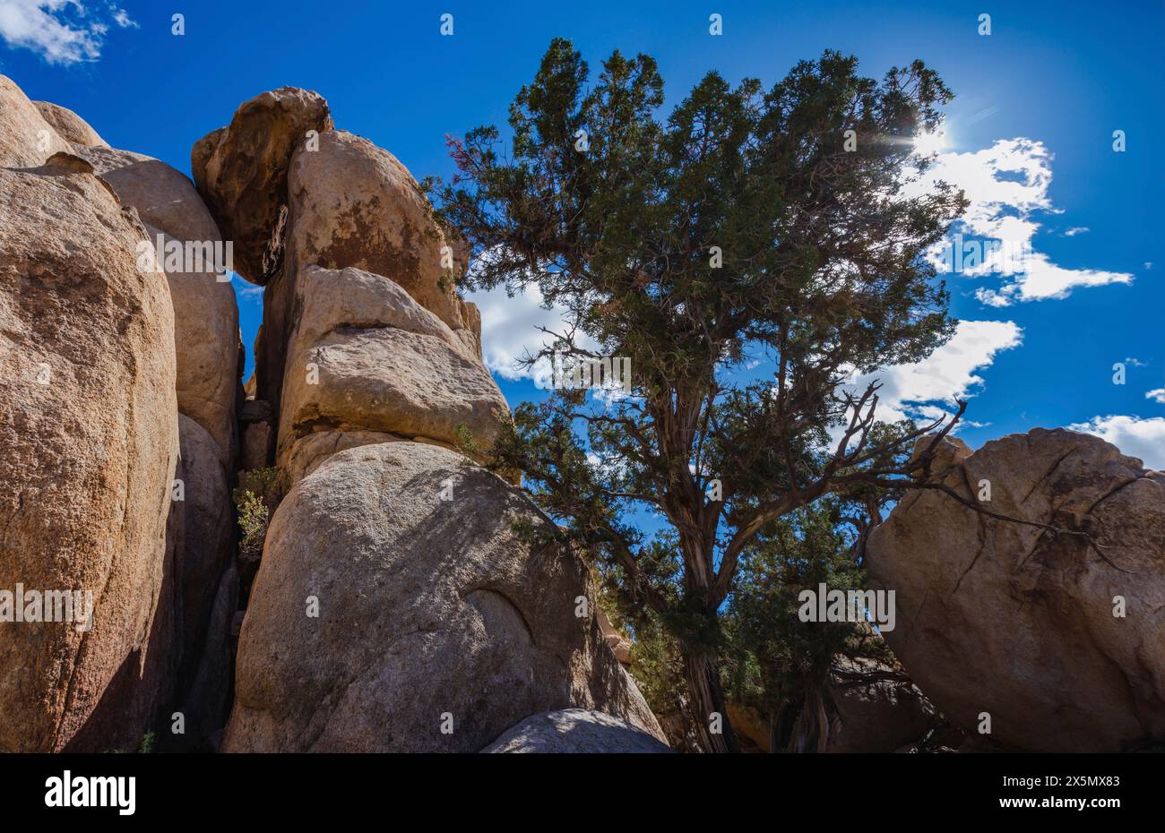Hidden Valley, Joshua Tree National Park, Kalifornien Stockfoto