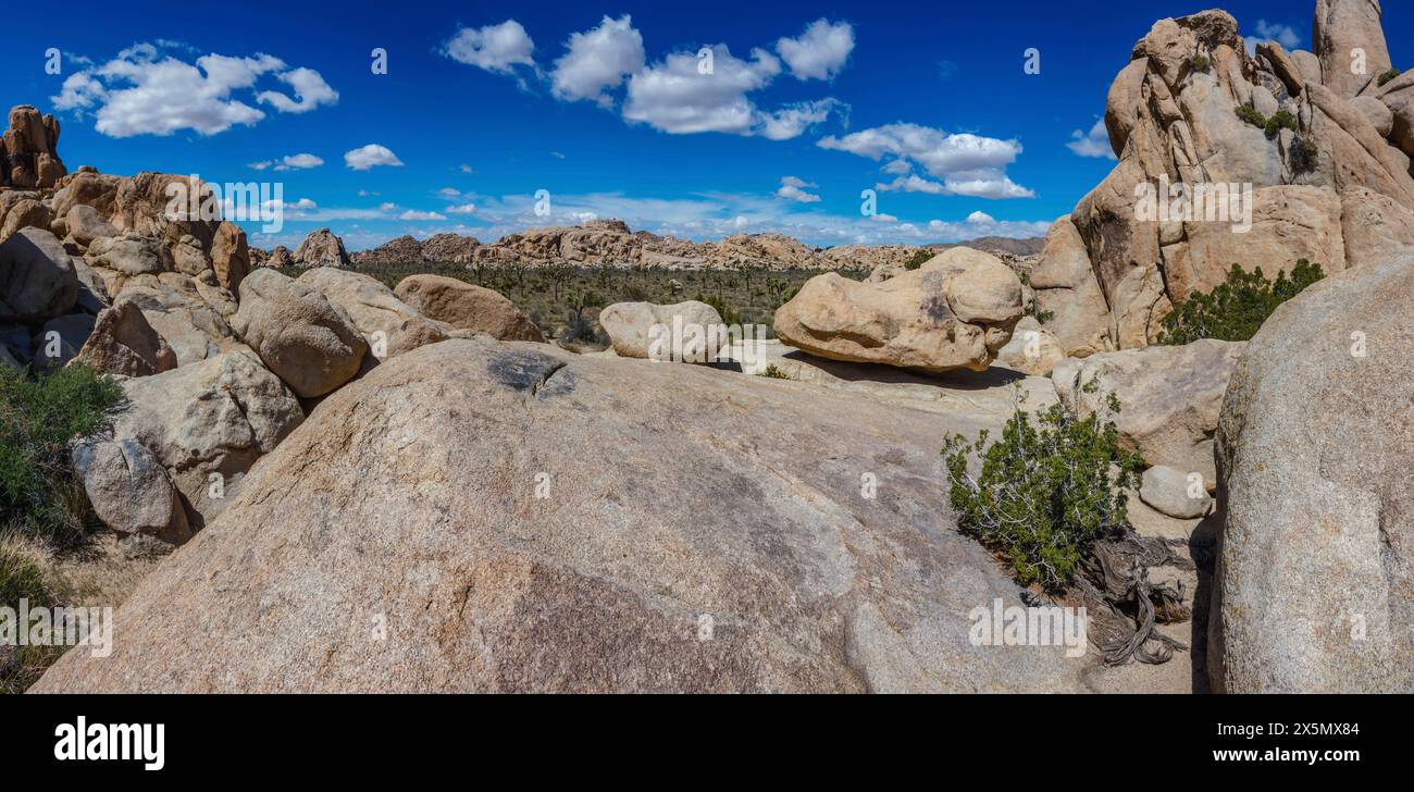Hidden Valley, Joshua Tree National Park, Kalifornien Stockfoto