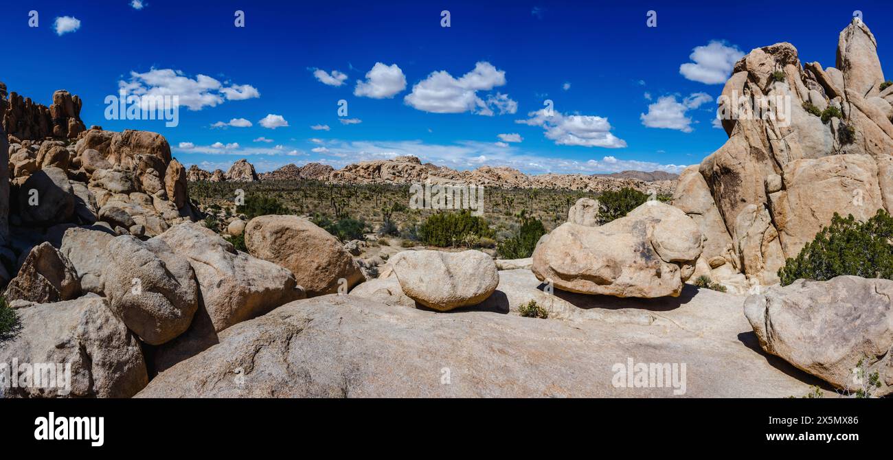 Hidden Valley, Joshua Tree National Park, Kalifornien Stockfoto