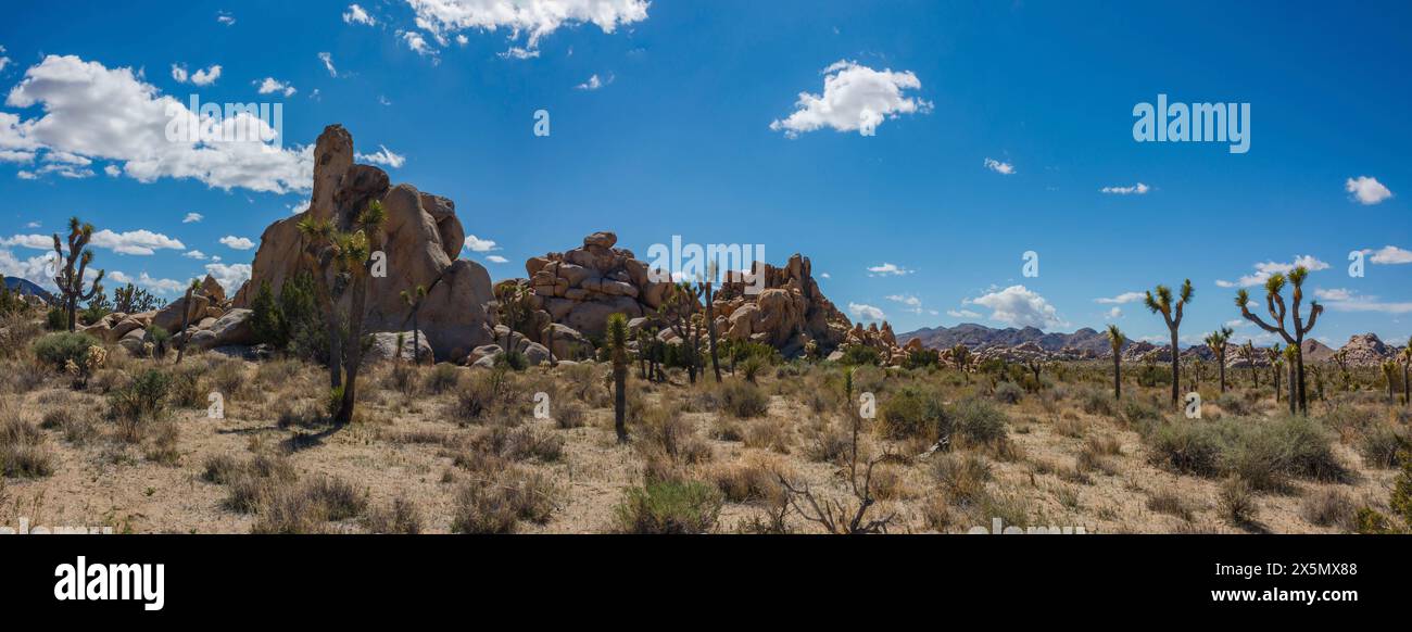 Hidden Valley, Joshua Tree National Park, Kalifornien Stockfoto
