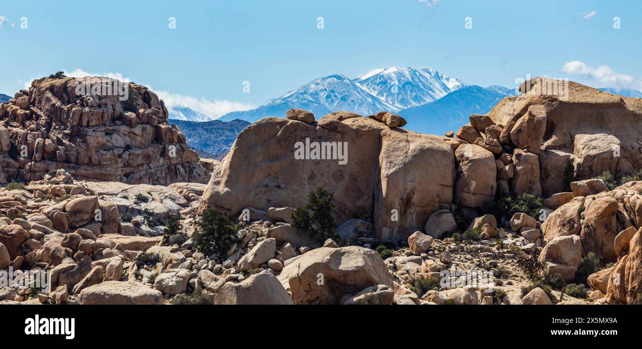 Hidden Valley, Joshua Tree National Park, Kalifornien Stockfoto