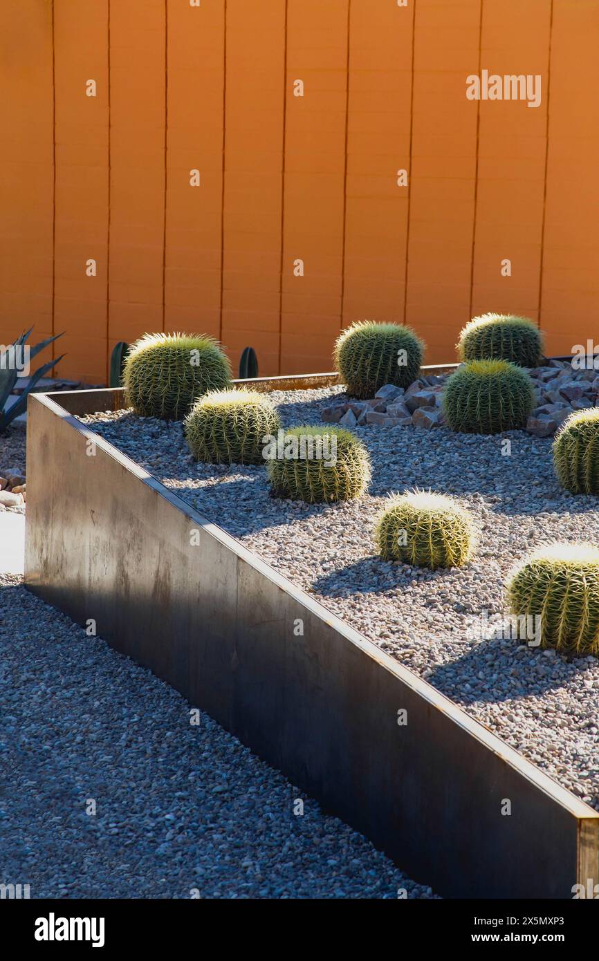 Palm Springs, moderne Landschaftsgestaltung Stockfoto