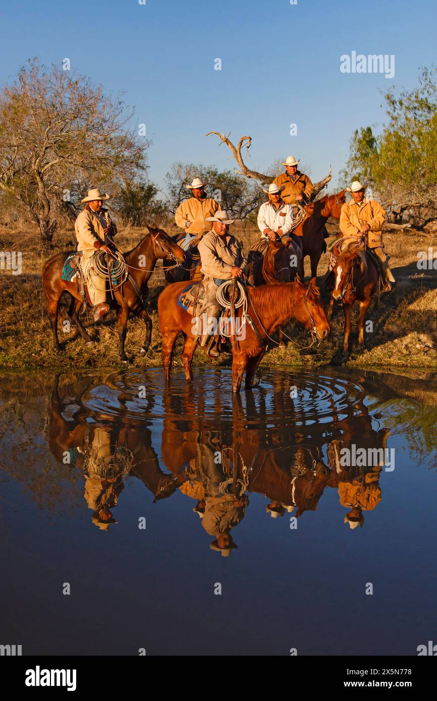 USA, Texas. Cowboys. (Nur Für Redaktionelle Zwecke) Stockfoto