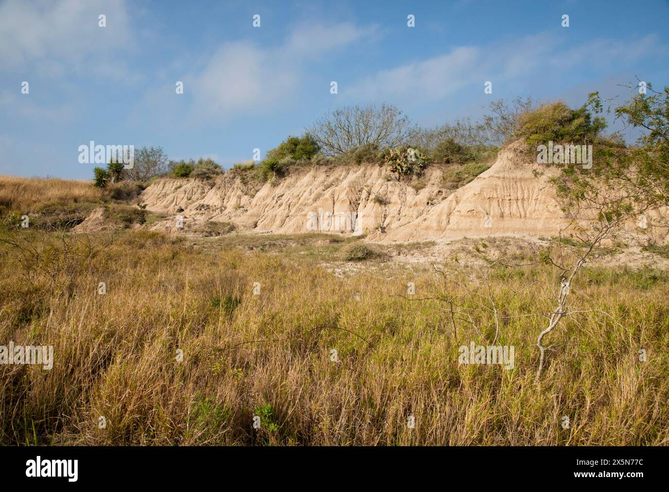 USA, Texas, Cameron County. Brownsville Navigation District Stockfoto