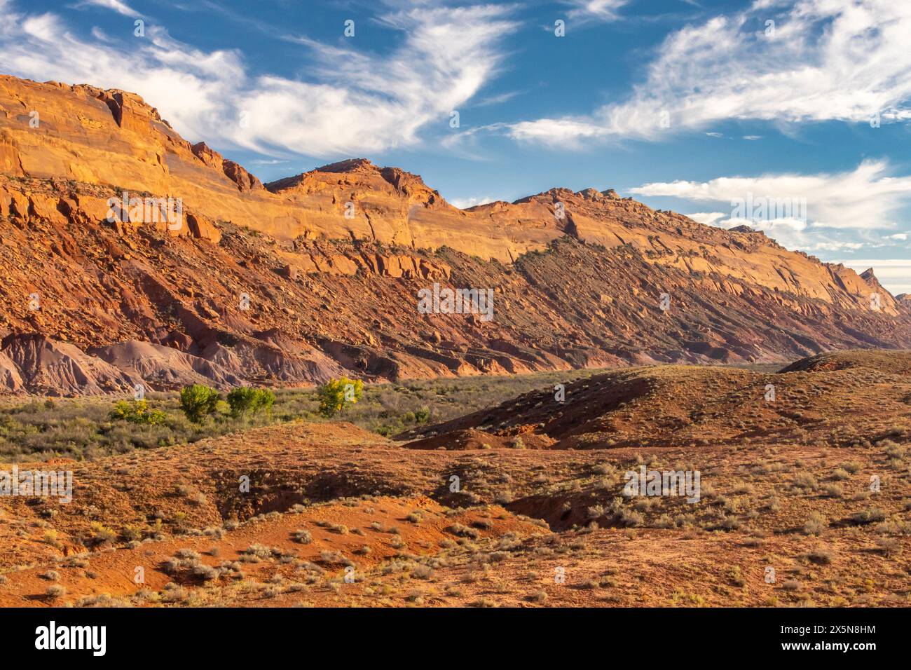 USA, Utah, Bear's Ears National Monument. Kamm-Ridge-Landschaft. Stockfoto