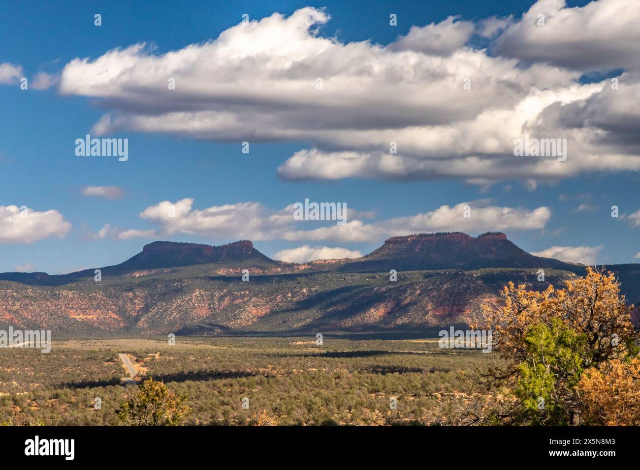 USA, Utah, Bear's Ears National Monument. Die Landschaft der Bären-Ohren. Stockfoto