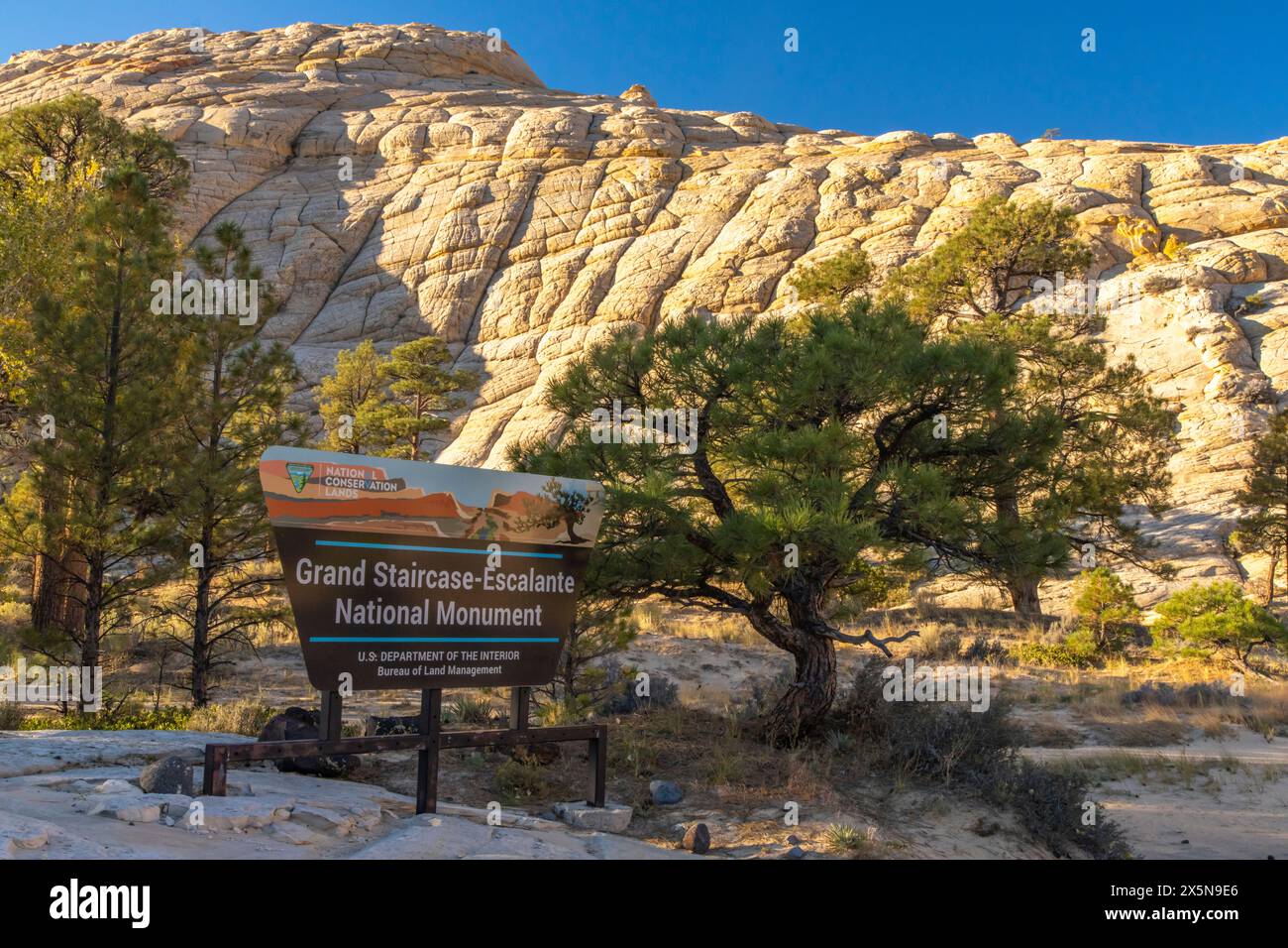 USA, Utah, Grand Staircase Escalante National Monument. Parkschild und erodierte Felsformationen und Bäume. Stockfoto