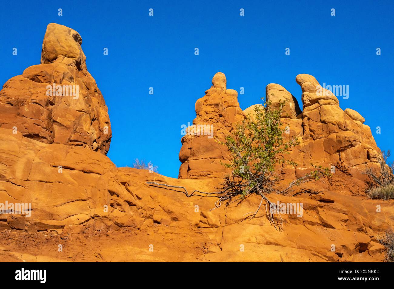 USA, Utah, Grand Staircase Escalante National Monument. Hoodoo-Formationen mit Felsenspitze. Stockfoto