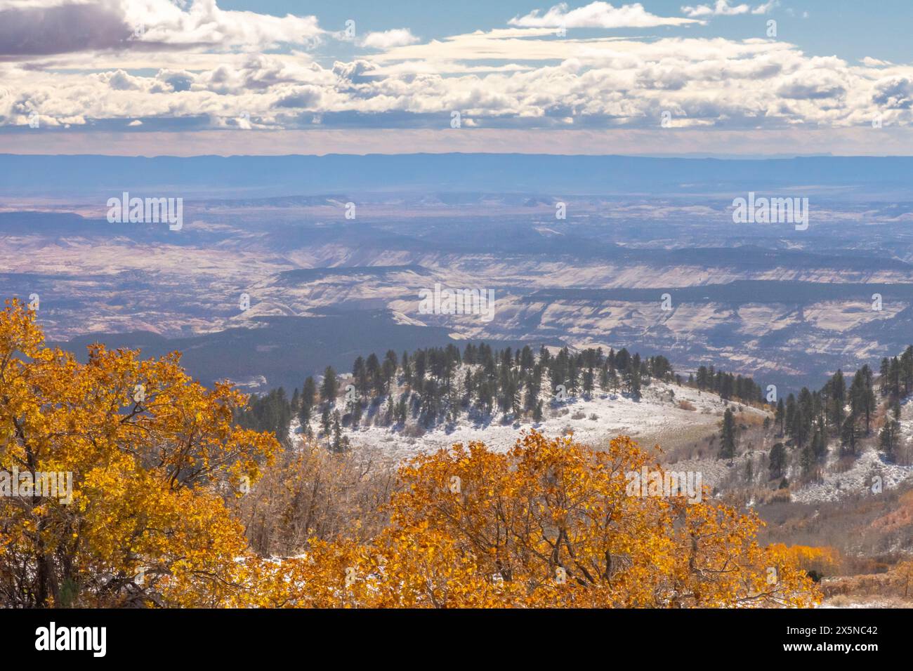 USA, Utah. Schnee am Boulder Mountain und Herbstaspen. Stockfoto