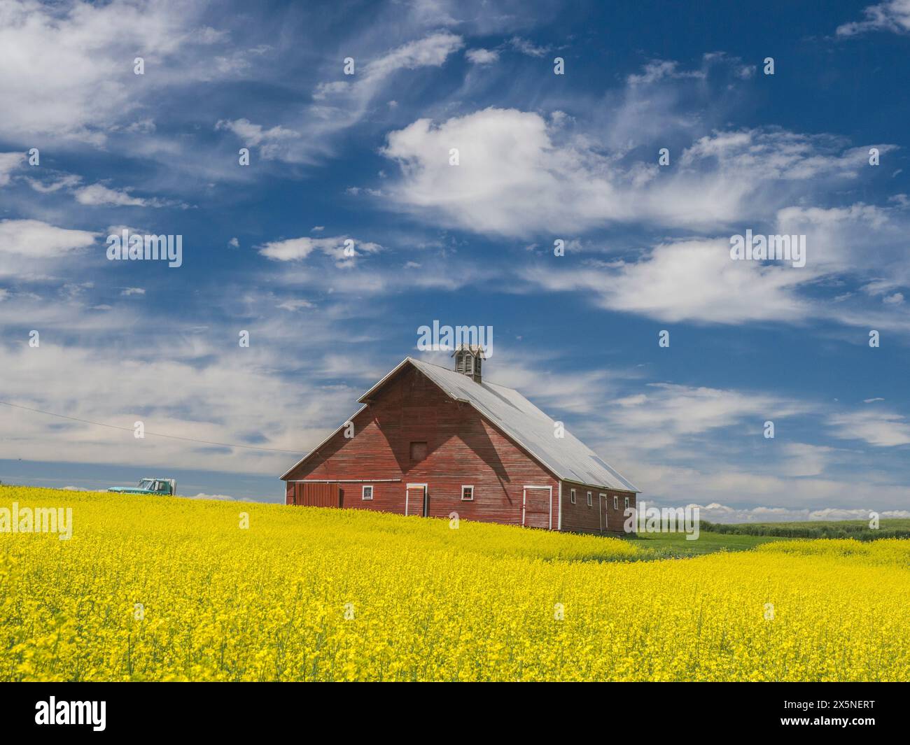 USA, Washington State, Palouse. Alte rote Scheune mit gelbem Canola im Vordergrund. (Nur Für Redaktionelle Zwecke) Stockfoto
