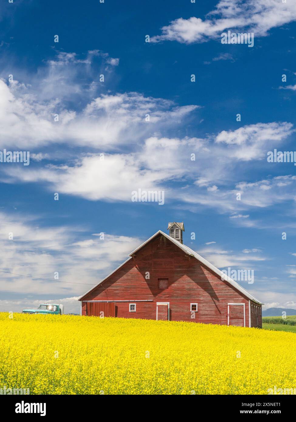 USA, Washington State, Palouse. Alte rote Scheune mit gelbem Canola im Vordergrund. (Nur Für Redaktionelle Zwecke) Stockfoto