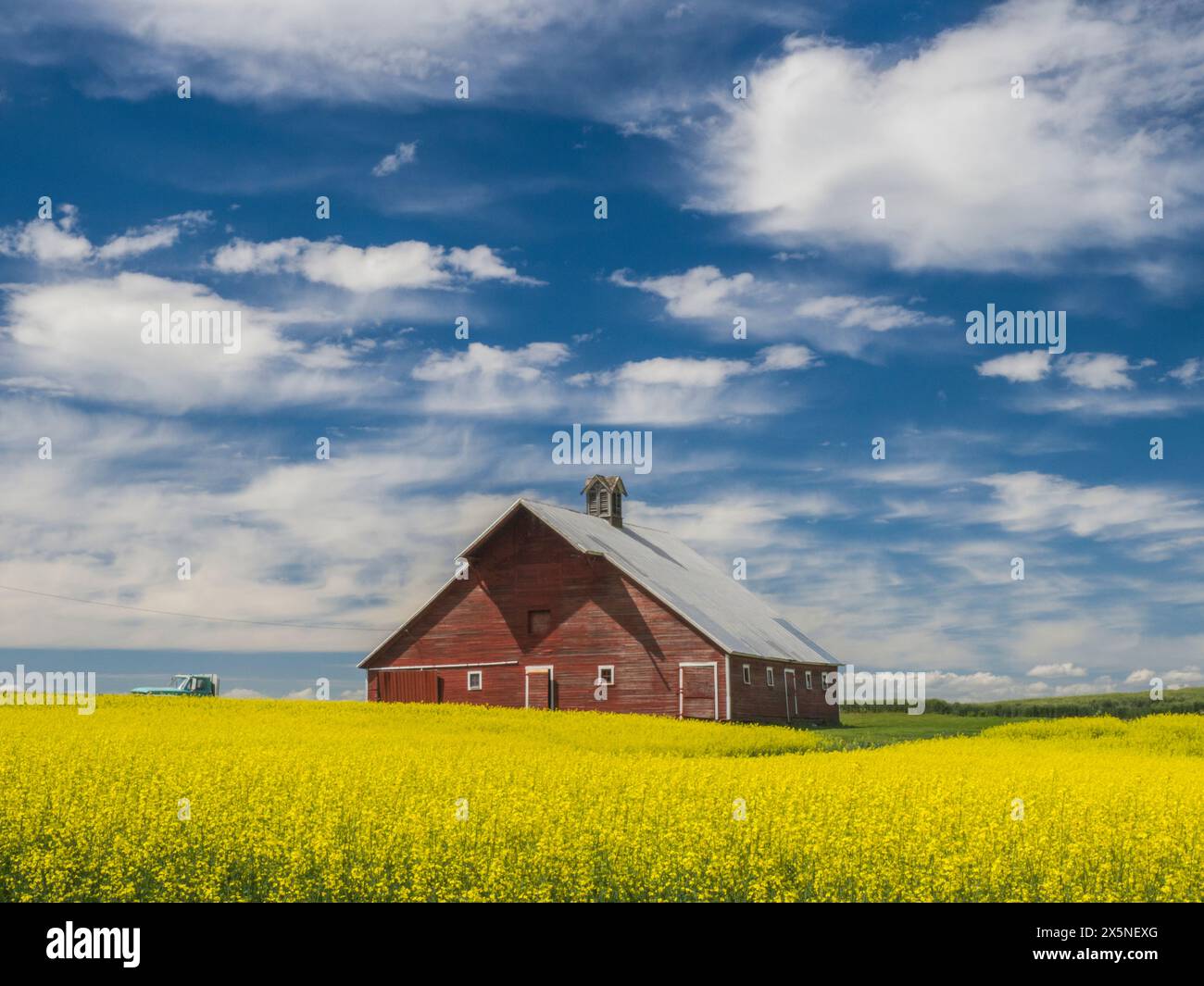 USA, Washington State, Palouse. Alte rote Scheune mit gelbem Canola im Vordergrund. (Nur Für Redaktionelle Zwecke) Stockfoto