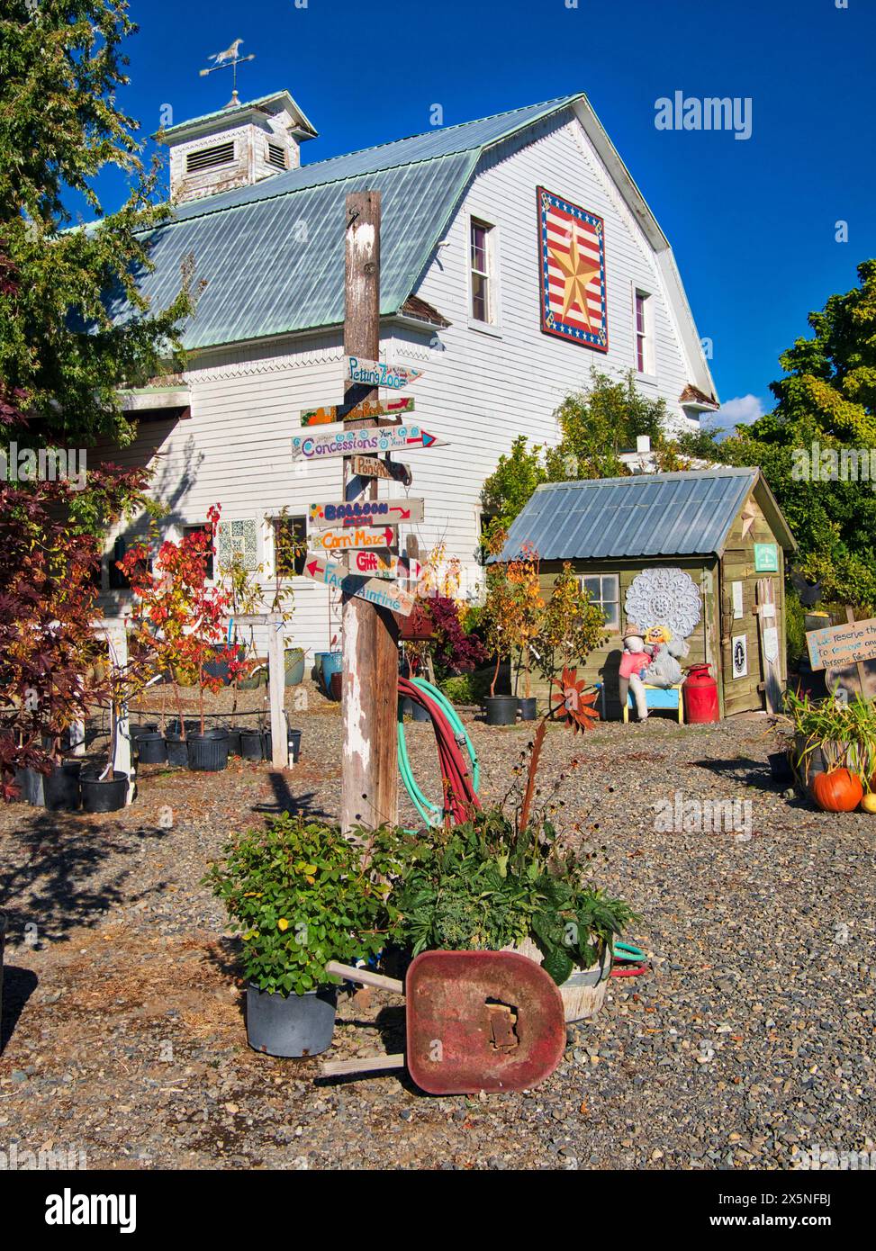 USA, Washington State, Kittitas County. Herbstdekorationen und eine Scheunendecke auf der Scheune in einer örtlichen Kinderstube in Kittitas County. (Nur Für Redaktionelle Zwecke) Stockfoto