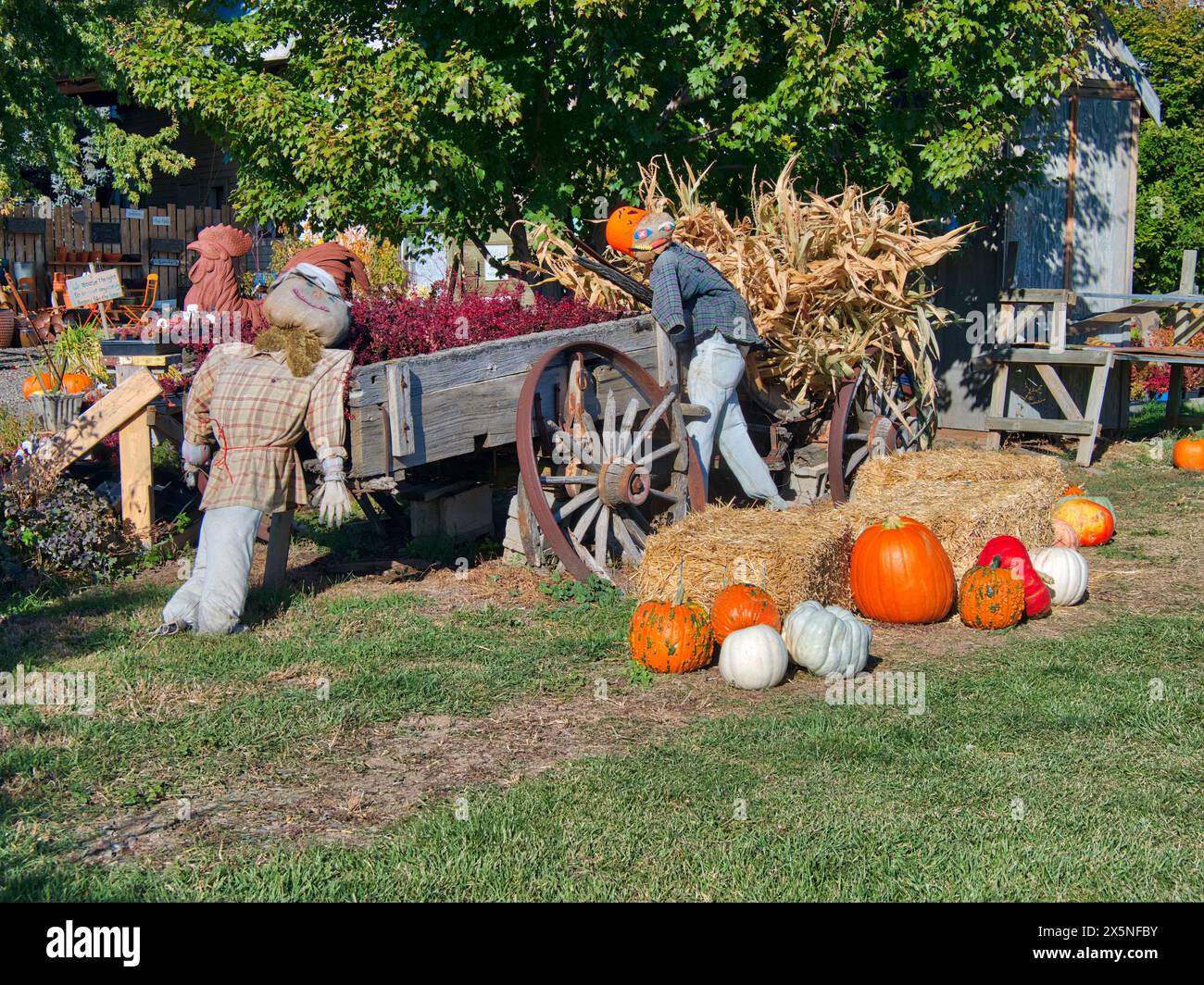 USA, Washington State, Kittitas County. Herbstdekoration in einem örtlichen Kindergarten im Kittitas County. (Nur Für Redaktionelle Zwecke) Stockfoto
