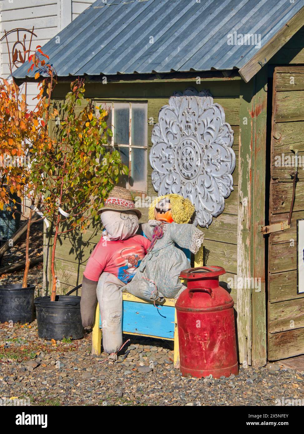 USA, Washington State, Kittitas County. Herbstdekoration in einem örtlichen Kindergarten im Kittitas County. (Nur Für Redaktionelle Zwecke) Stockfoto