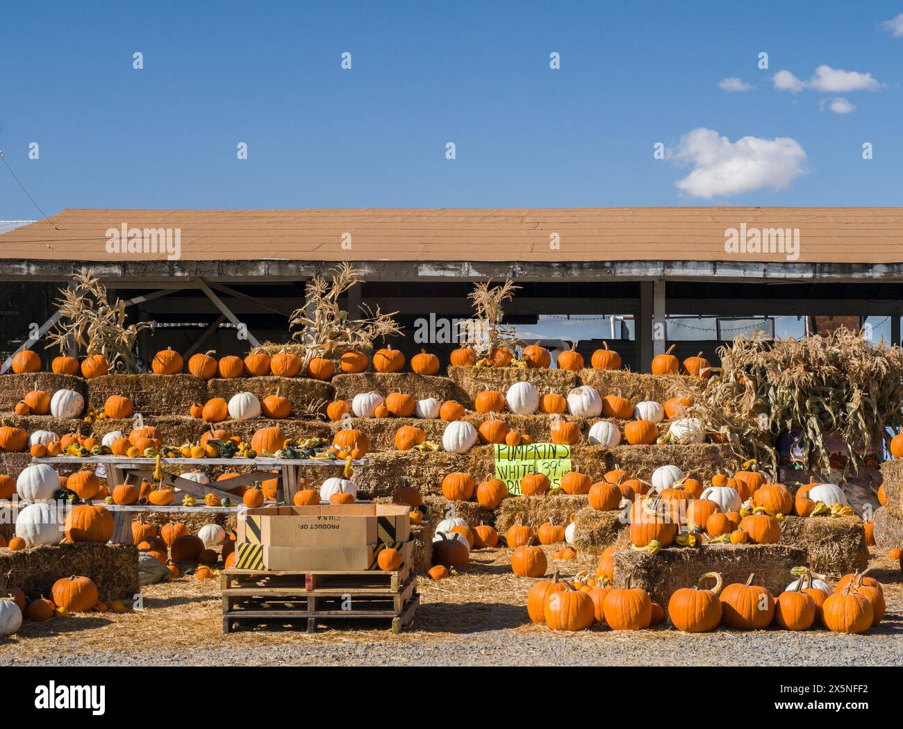 USA, Washington State, Kittitas County. Ausstellung von Kürbissen an einem Verkaufsstand im Kittitas County. (Nur Für Redaktionelle Zwecke) Stockfoto