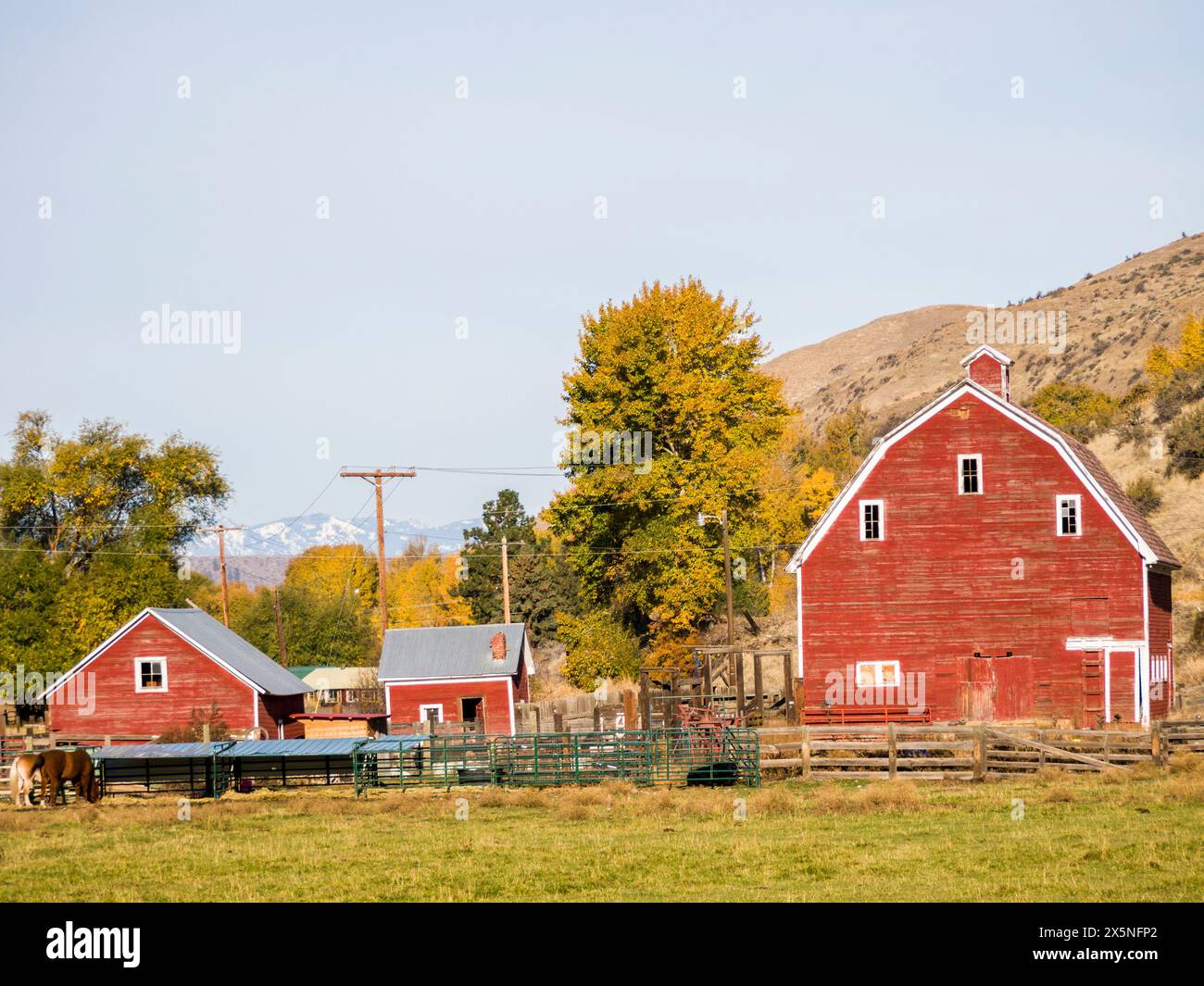 USA, Washington State, Kittitas County. Rote Scheune auf einem Landgrundstück. (Nur Für Redaktionelle Zwecke) Stockfoto