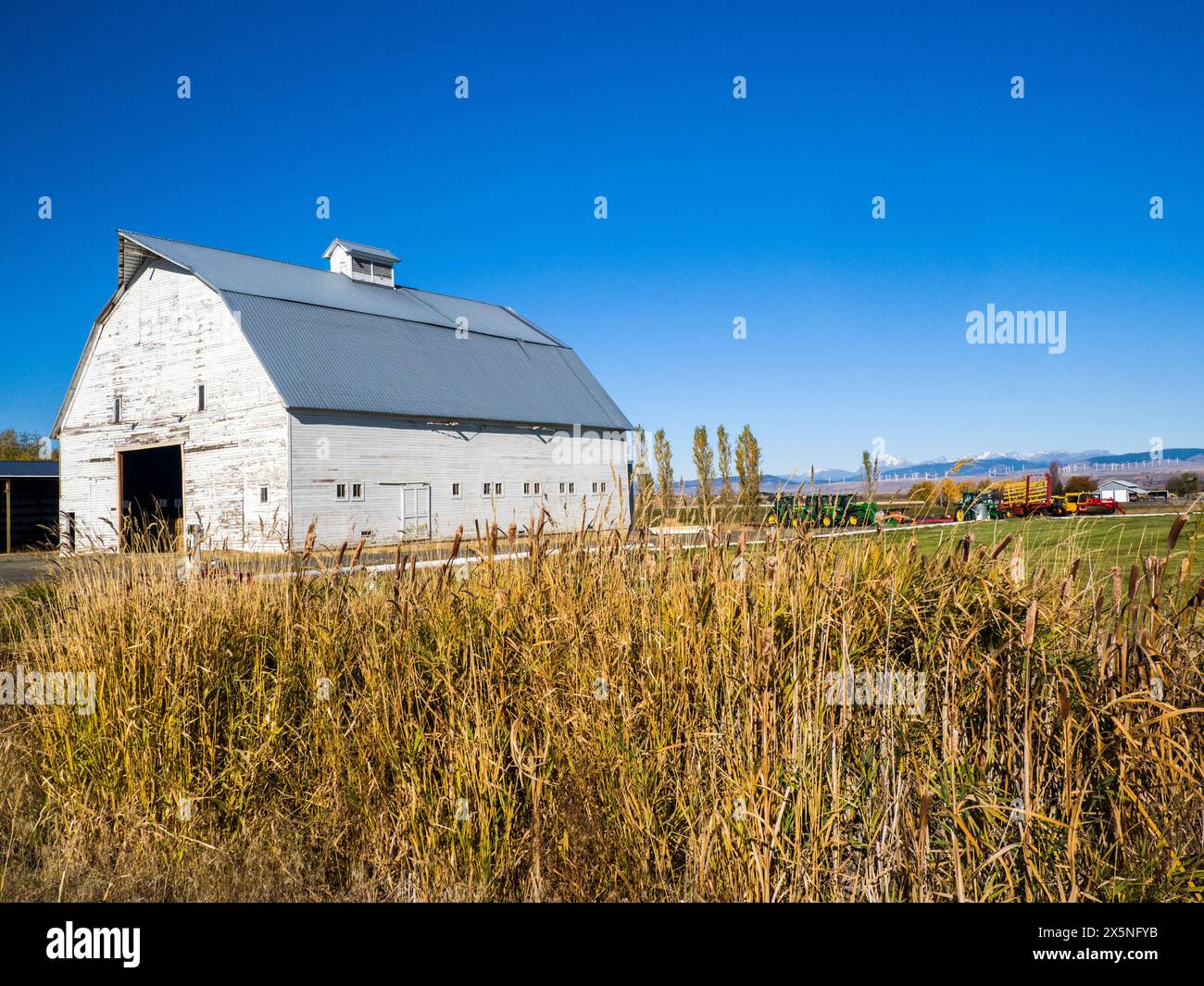 USA, Washington State, Kittitas County. Alte weiße Scheune im Kittitas-Tal. (Nur Für Redaktionelle Zwecke) Stockfoto
