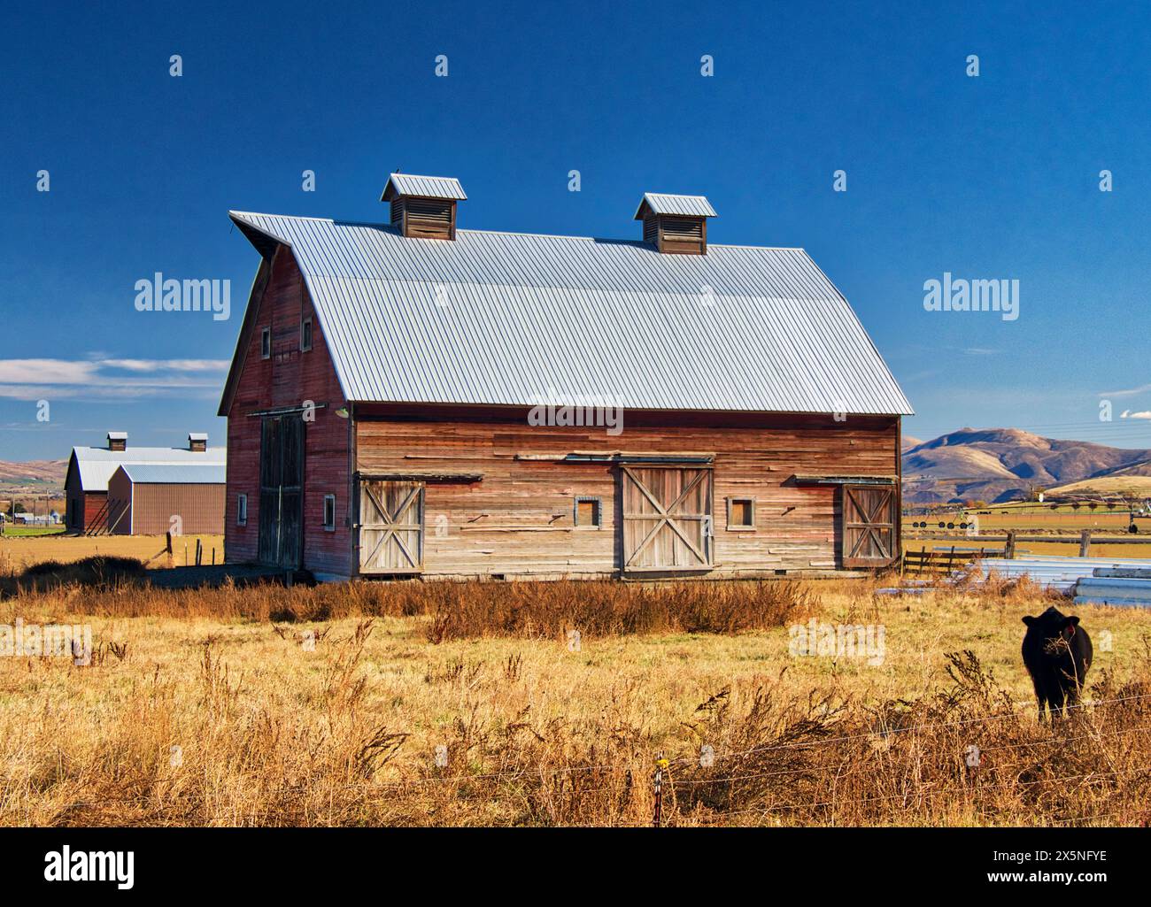 USA, Washington State, Kittitas County. Alte Holzscheune im Herbst in Kittitas County. (Nur Für Redaktionelle Zwecke) Stockfoto