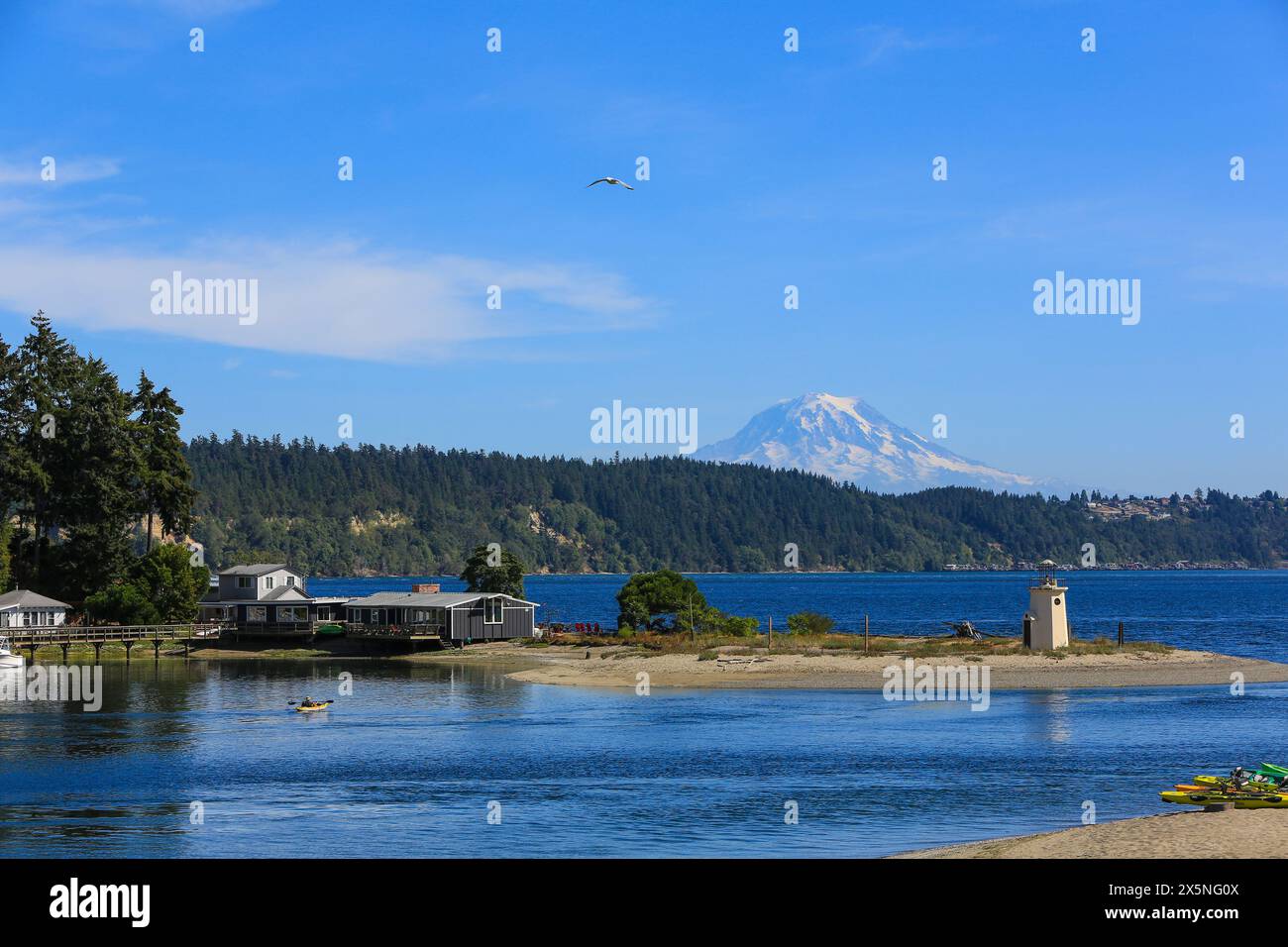 Gig Harbor, Bundesstaat Washington, USA. Kajakfahren zum Gig Harbor Lighthouse mit Mount Rainier und einer Möwe über dem Dach. Stockfoto