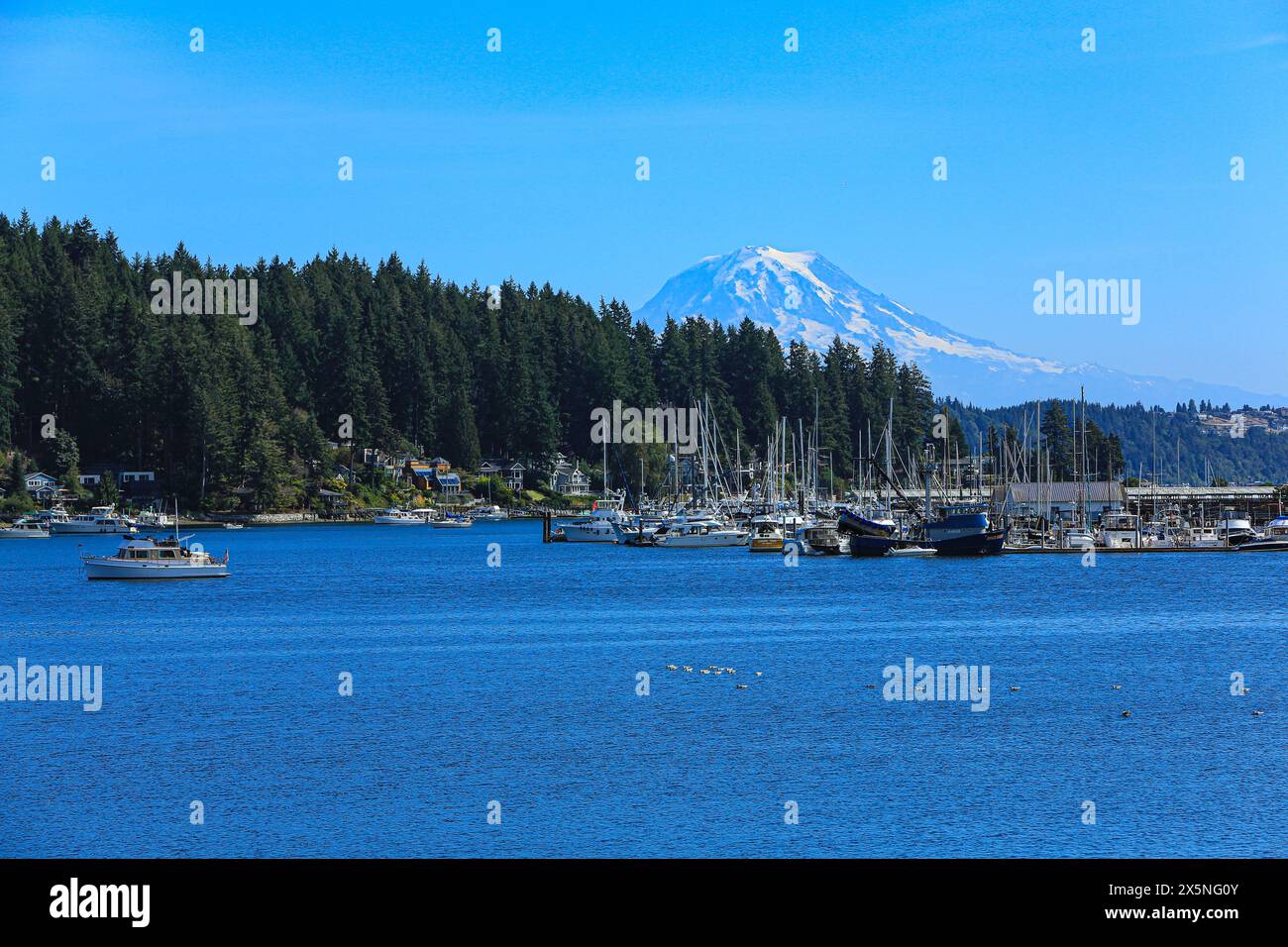 Gig Harbor, Bundesstaat Washington, USA. Der Mount Rainier blickt über den Gig Harbor und die Boote, die auf dem Wasser segeln Stockfoto