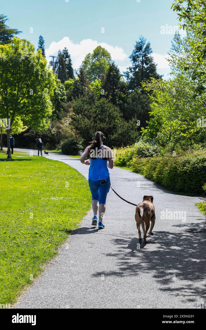 Bremerton, Bundesstaat Washington, USA. Lions Park, Leute gehen und joggen mit ihren Hunden und trainieren. (Nur Für Redaktionelle Zwecke) Stockfoto