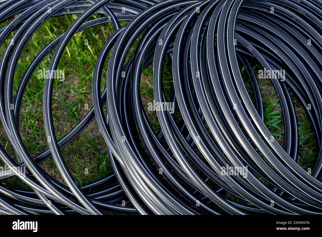 Schwarzes HDPE-Rohr zur Wasserversorgung, zu einer Rolle gewickelt. Installation von Wasserversorgung und Tropfbewässerung im Garten. Stockfoto