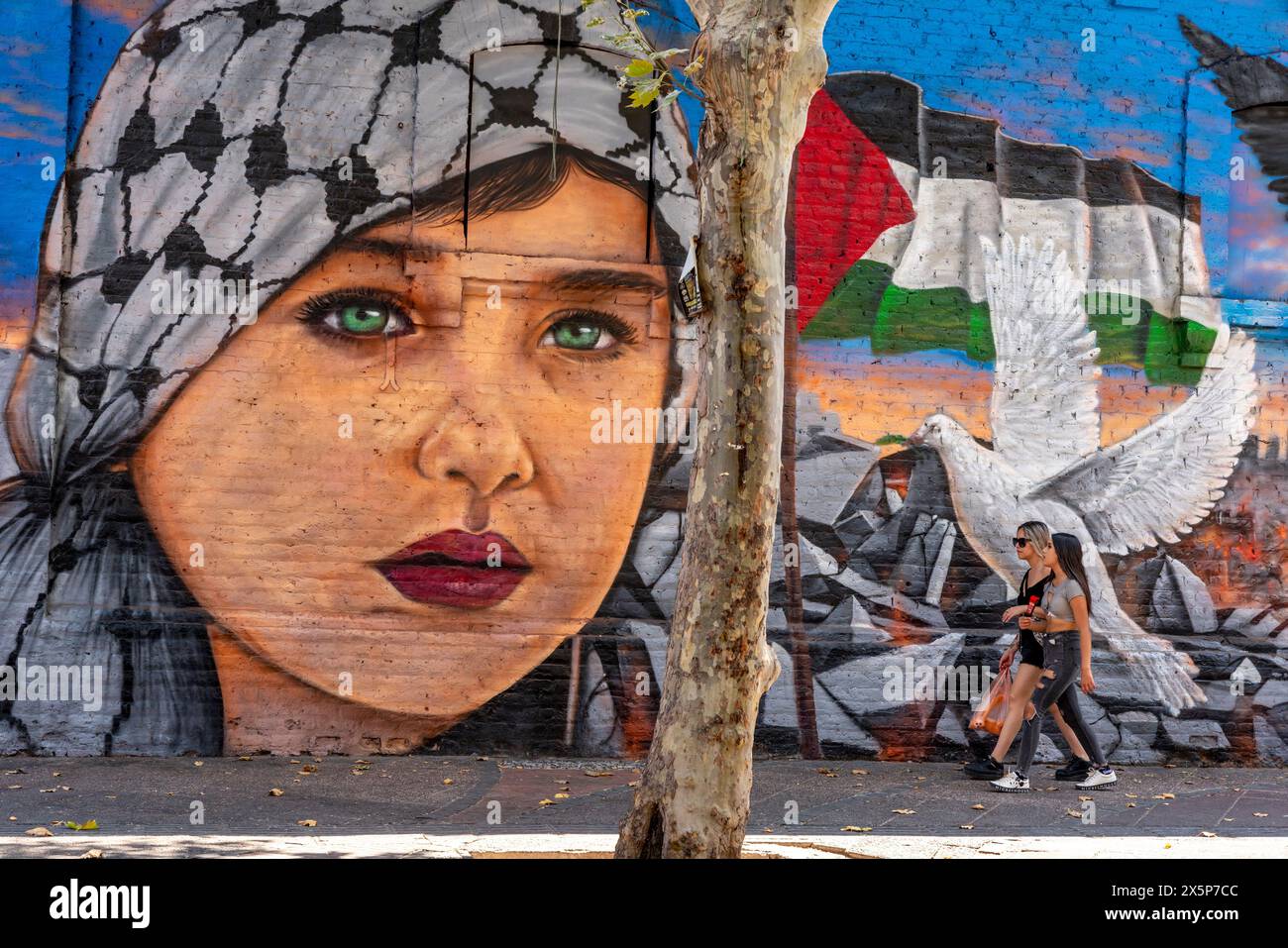 Pro Palestine Street Art, Santiago, Chile, Südamerika. Stockfoto