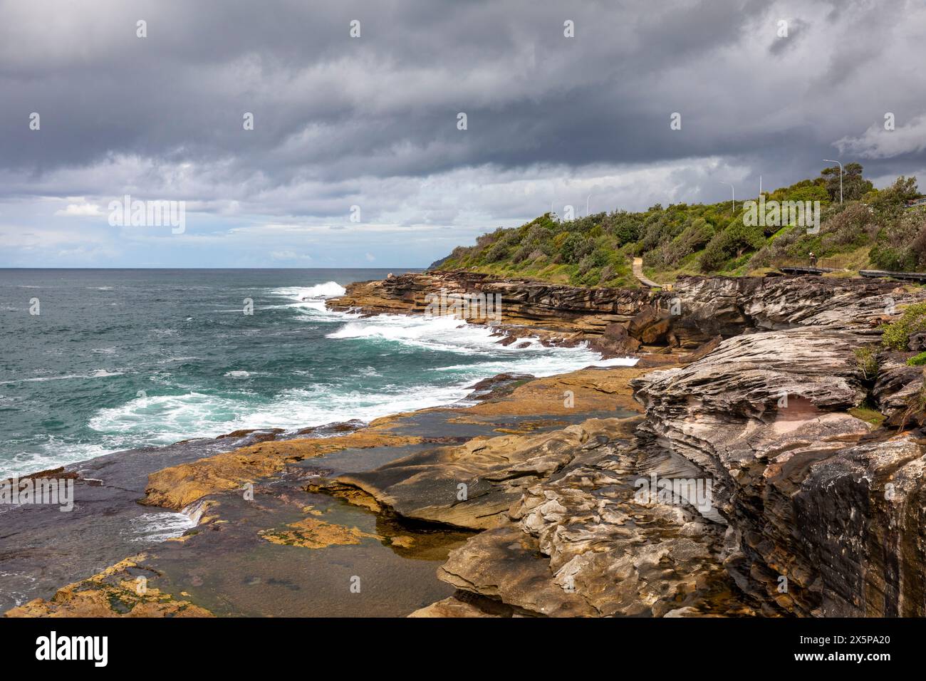 Curl Curl to Freshwater Walk und Küstenlandschaft an der Ostküste von Sydney, NSW, Australien, 2024 Stockfoto