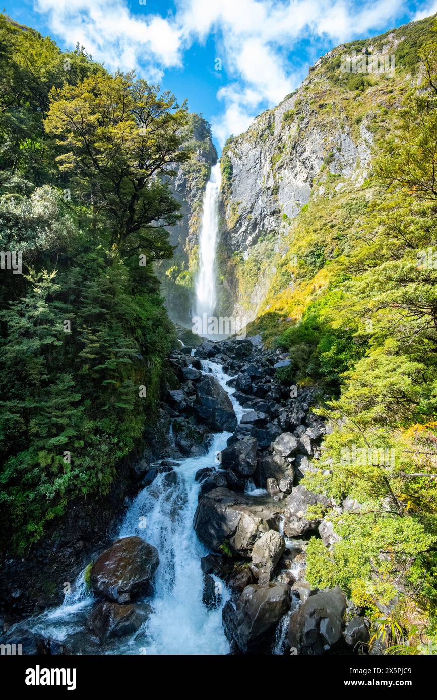 Devils Punchbowl Wasserfall - Neuseeland Stockfoto