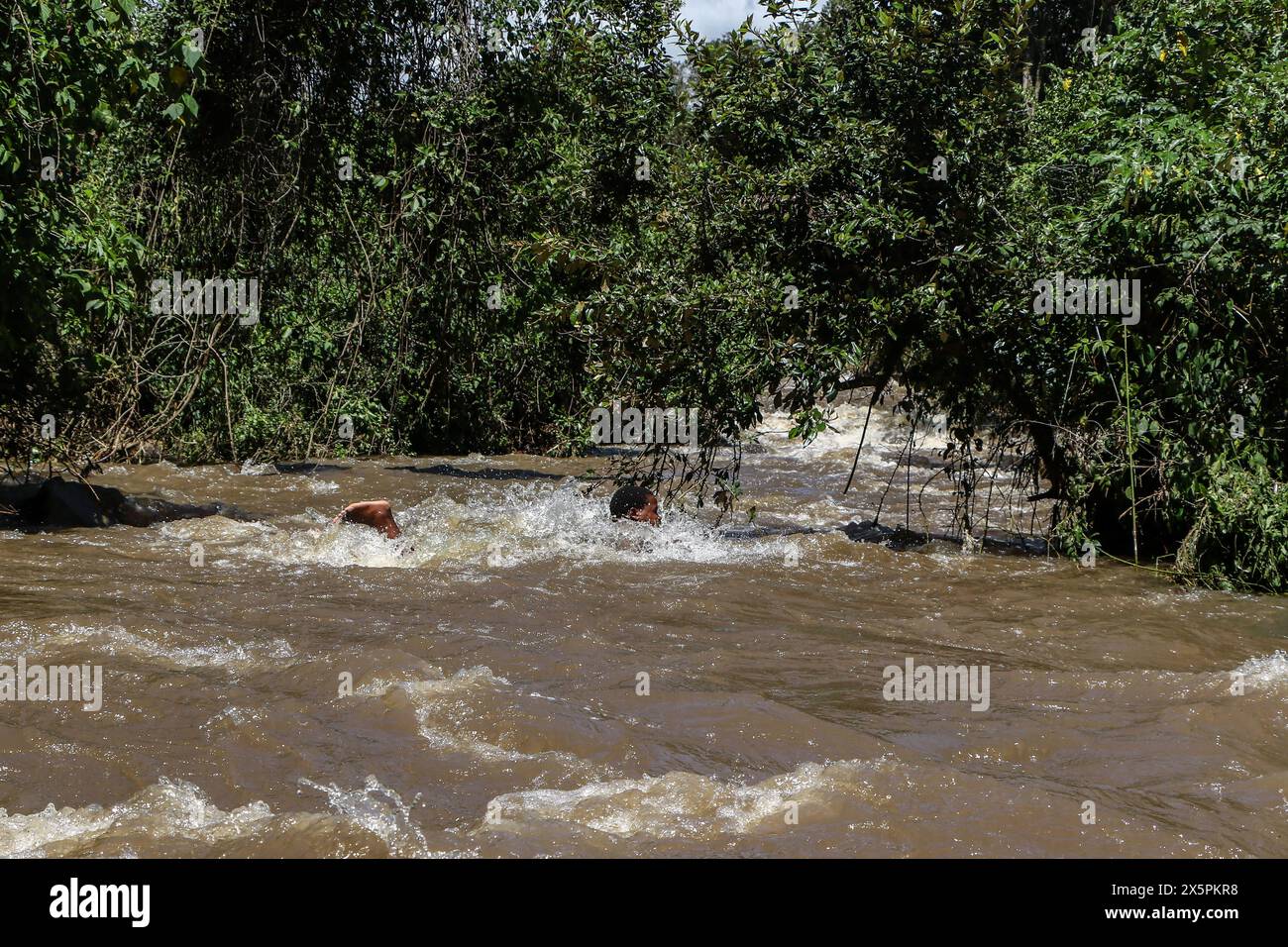 Nakuru, Kenia. Mai 2024. Ein ortsansässiger Taucher sucht nach Leichen von zwei jungen Schwestern, die ertrunken sind, als sie versuchten, einen geschwollenen Njoro River in Ketiro Village im Nakuru County zu überqueren. Ihr tragischer Tod erhöht die Zahl von mindestens 230 Menschen, die nach starken Regenfällen, die in Kenia zu großen Überschwemmungen geführt haben, ihr Leben verloren haben. Quelle: SOPA Images Limited/Alamy Live News Stockfoto