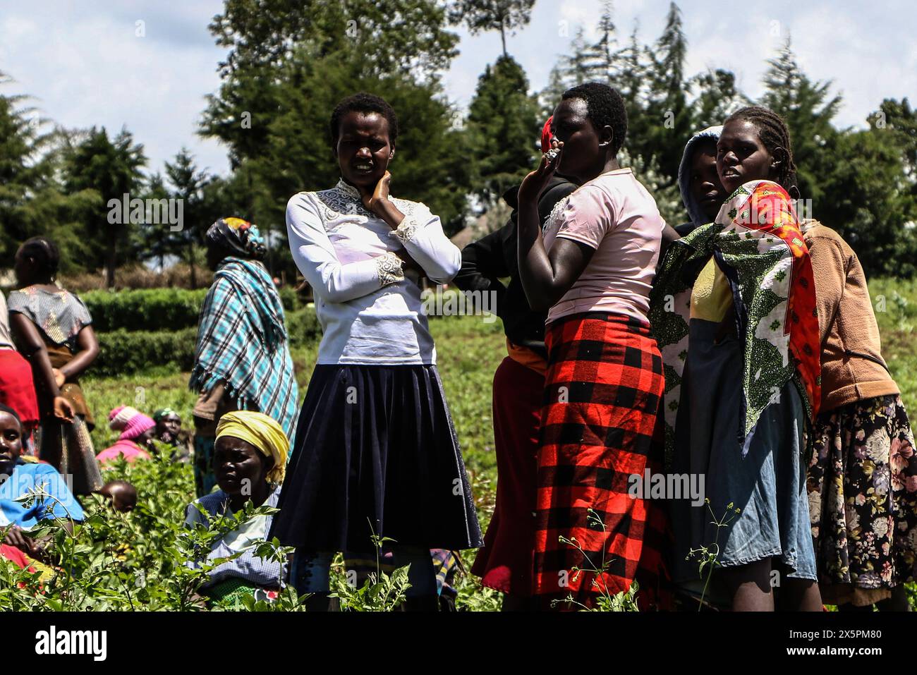 Nakuru, Kenia. Mai 2024. Mitglieder der Gemeinde beobachten, wie einheimische Taucher nach Leichen von zwei jungen Schwestern suchen, die ertrunken sind, als sie versuchten, einen geschwollenen Njoro River in Ketiro Village, Nakuru County, zu überqueren. Ihr tragischer Tod erhöht die Zahl von mindestens 230 Menschen, die nach starken Regenfällen, die in Kenia zu großen Überschwemmungen geführt haben, ihr Leben verloren haben. (Foto: James Wakibia/SOPA Images/SIPA USA) Credit: SIPA USA/Alamy Live News Stockfoto