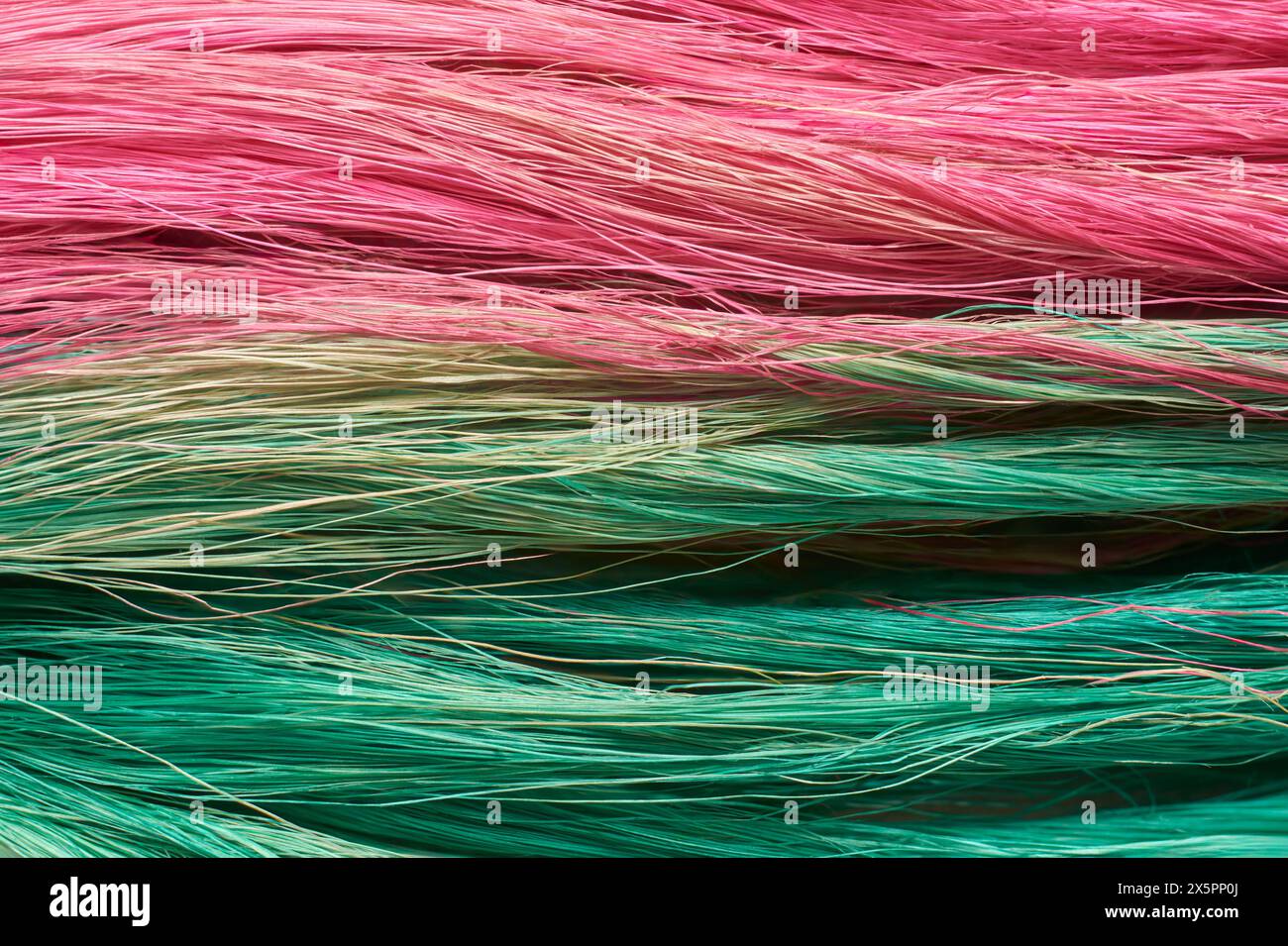 Nahaufnahme der farbenfrohen Kokosnussfasern oder Kokos, kommerziell wichtige Naturfasern, die aus der äußeren Schale von Kokosnussfrüchten gewonnen werden, die von traditionellen Farben gefärbt wurden Stockfoto