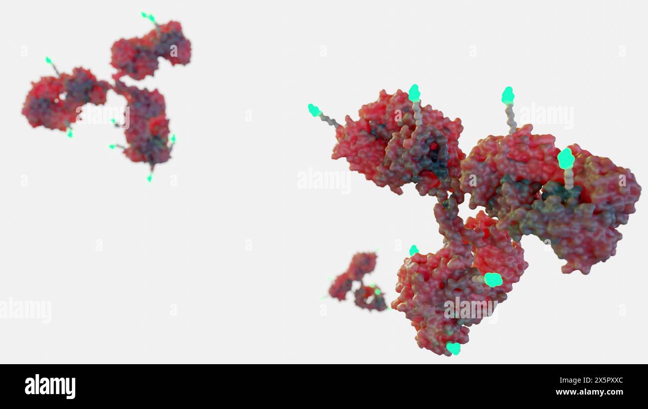 3D-Rendering von Antibody Drug Conjugate (ADCs) sind gezielte Arzneimittel, die Chemotherapien an Krebszellen abgeben Stockfoto