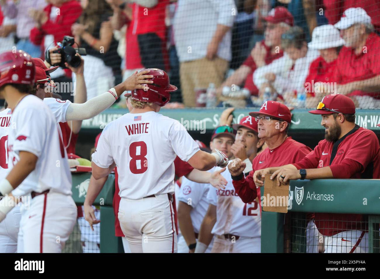 10. Mai 2024: Arkansas Head Coach Dave Van Horn gibt dem Fänger Hudson White #8 einen Faustschlag, als er zum Dugout zurückkehrt. Arkansas besiegte Mississippi State 7-5 in Fayetteville, AR. Richey Miller/CSM(Bild: © Richey Miller/Cal Sport Media) Stockfoto