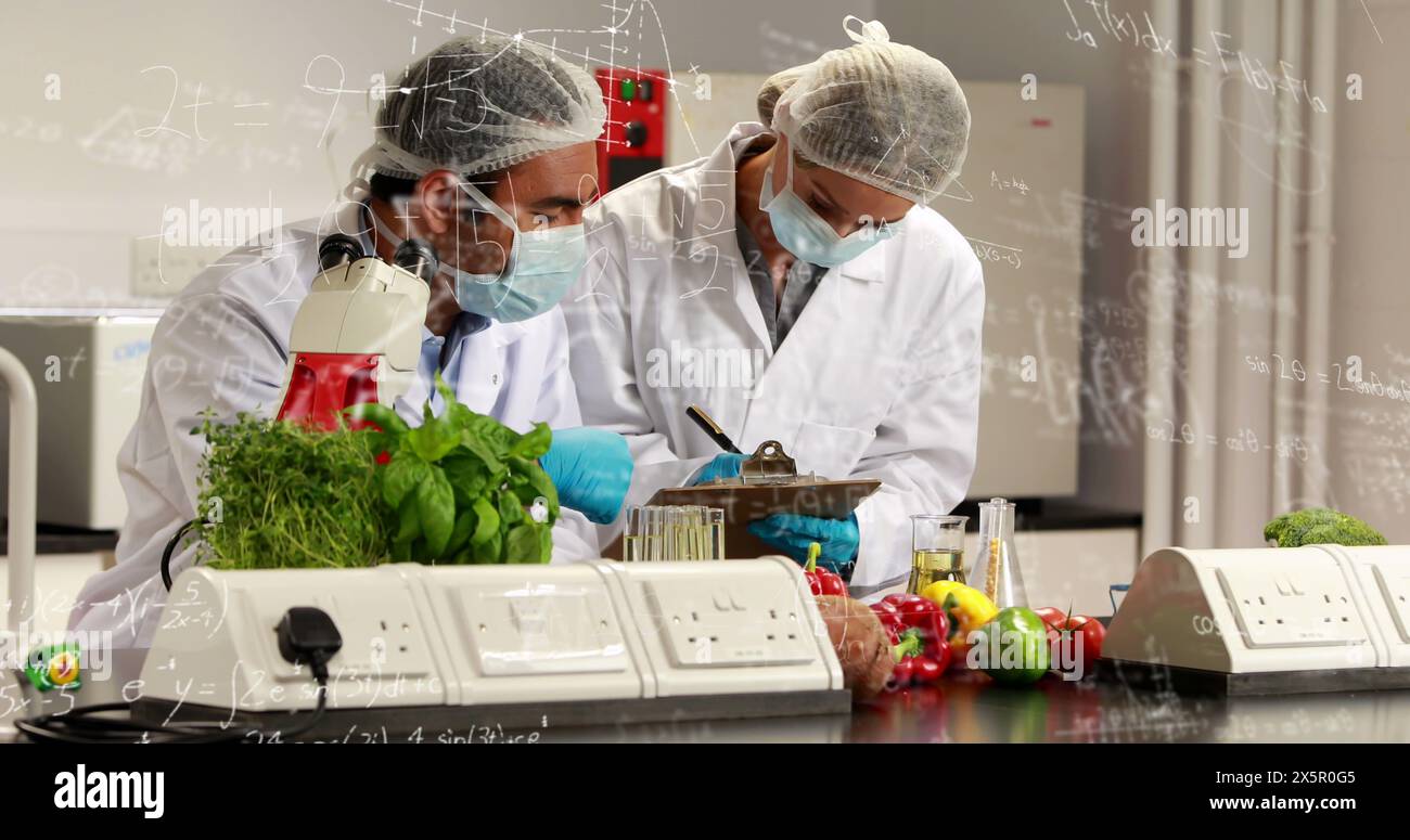 Verschiedene Paare, die Labormäntel tragen, untersuchen Gemüse im Labor Stockfoto