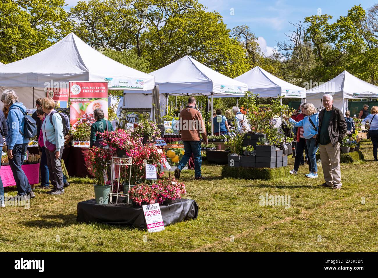 BBC Gardeners' World Spring Fair 2024 Stockfoto